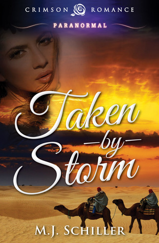 Review: ‘Taken by Storm’ by M.J. Schiller