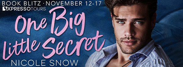 Book Blitz + Giveaway: 'One Big Little Secret' by Nicole Snow